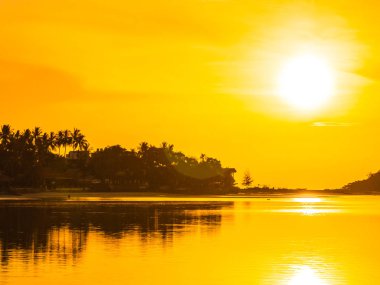 Güzel tropikal plaj deniz ve okyanus ile Hindistan cevizi hurma ağacı gündoğumu zaman seyahat ve tatil için