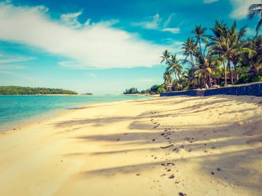 Güzel tropikal plaj ve deniz ile Hindistan cevizi hurma ağacının seyahat ve tatil