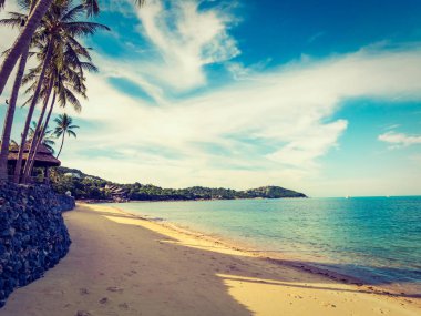 Güzel tropikal plaj ve deniz ile Hindistan cevizi hurma ağacının seyahat ve tatil