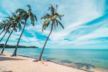 Güzel tropikal plaj deniz ve kum mavi gökyüzü ve beyaz bulut seyahat ve tatil için Hindistan cevizi hurma ağacı ile