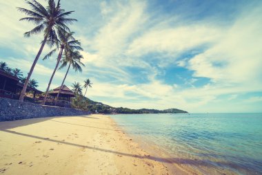 Güzel tropikal plaj deniz ve kum mavi gökyüzü ve beyaz bulut seyahat ve tatil için Hindistan cevizi hurma ağacı ile