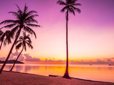 Güzel tropikal plaj deniz ve okyanus ile Hindistan cevizi hurma ağacı gündoğumu zaman seyahat ve tatil için