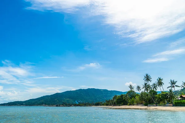 Tropisch Strand Zee Zand Met Coconut Palm Tree Blauwe Hemel — Stockfoto