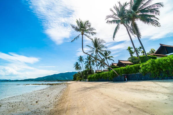 Beautiful Tropical Beach Sea Sand Coconut Palm Tree Blue Sky — Stock Photo, Image