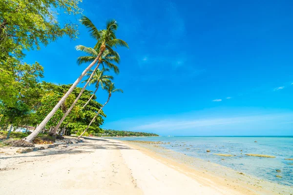 Güzel tropikal plaj deniz ve kum mavi gökyüzü ve beyaz bulut seyahat ve tatil için Hindistan cevizi hurma ağacı ile