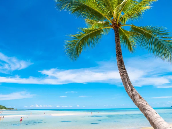 Bella Spiaggia Tropicale Mare Con Palma Cocco Viaggi Vacanze — Foto Stock