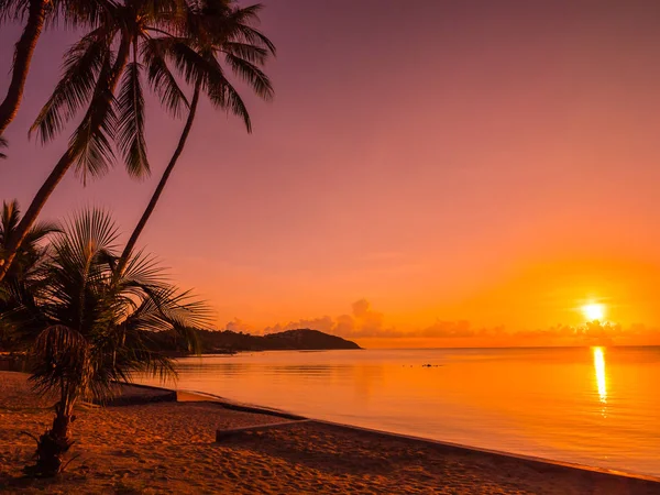 Güzel tropikal plaj deniz ve okyanus ile Hindistan cevizi hurma ağacı gündoğumu zaman seyahat ve tatil için