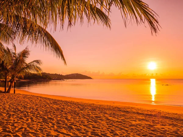 Schöner Tropischer Strand Meer Und Ozean Mit Kokospalmen Bei Sonnenaufgang — Stockfoto