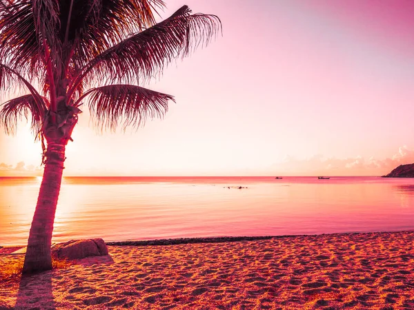 Beautiful tropical beach sea and ocean with coconut palm tree at sunrise time for travel and vacation