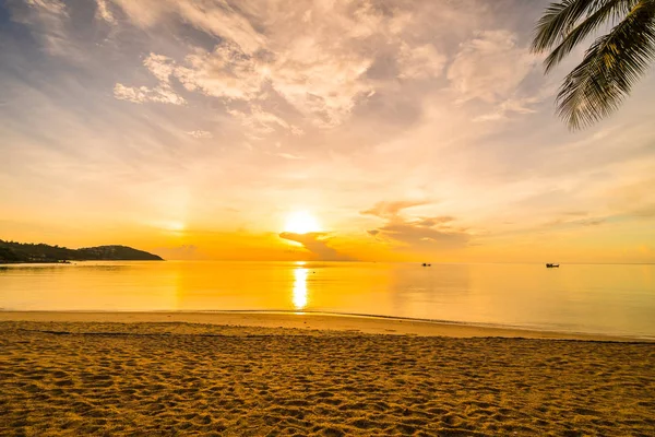 Günbatımı zaman tropik cennet ada plaj ve deniz ile Hindistan cevizi palmiye ağacı üzerinde tatil ve tatil için