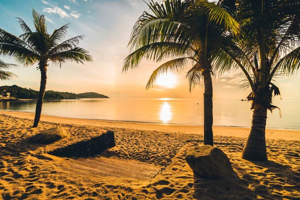 Günbatımı zaman tropik cennet ada plaj ve deniz ile Hindistan cevizi palmiye ağacı üzerinde tatil ve tatil için