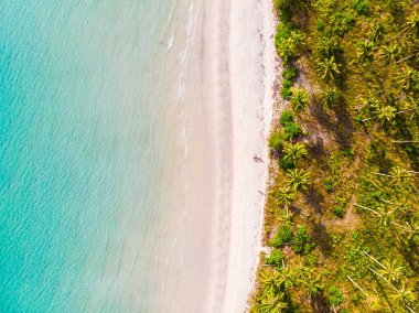 Plaj ve deniz paradise Island tatil için Hindistan cevizi hurma ağacı ile güzel havadan görünümü
