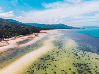 Seyahat ve tatil için adada güzel tropikal plaj ve deniz ağaçları ile havadan görünümü