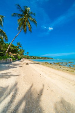 Güzel tropikal plaj deniz ve kum mavi gökyüzü ve beyaz bulut seyahat ve tatil için Hindistan cevizi hurma ağacı ile