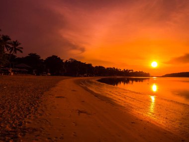Güzel tropikal plaj deniz ve okyanus ile Hindistan cevizi hurma ağacı gündoğumu zaman seyahat ve tatil için
