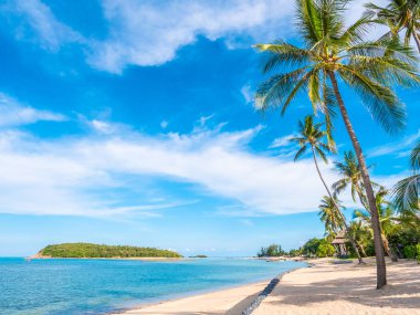 Güzel tropikal plaj ve deniz ile Hindistan cevizi hurma ağacının seyahat ve tatil