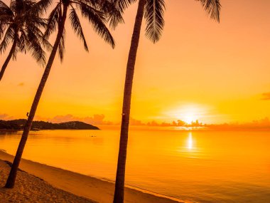Güzel tropikal plaj deniz ve okyanus ile Hindistan cevizi hurma ağacı gündoğumu zaman seyahat ve tatil için