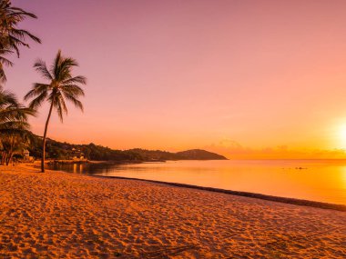 Güzel tropikal plaj deniz ve okyanus ile Hindistan cevizi hurma ağacı gündoğumu zaman seyahat ve tatil için