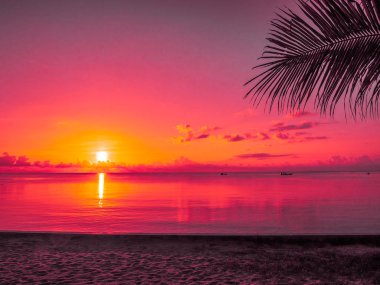 Güzel tropikal plaj deniz ve okyanus ile Hindistan cevizi hurma ağacı gündoğumu zaman seyahat ve tatil için