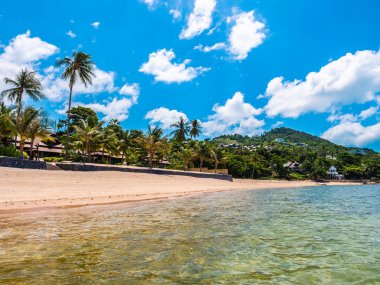 Güzel tropikal plaj ve deniz ile Hindistan cevizi hurma ağacının seyahat ve tatil