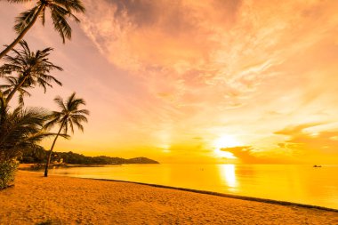 Günbatımı zaman tropik cennet ada plaj ve deniz ile Hindistan cevizi palmiye ağacı üzerinde tatil ve tatil için