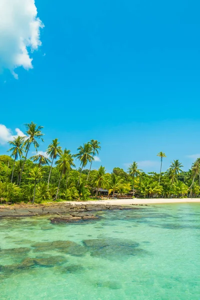 Güzel tropikal plaj ve deniz paradise Island Seyahat ve tatil için Hindistan cevizi hurma ağacı