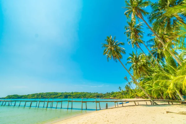 Güzel tropikal plaj ve deniz paradise Island Seyahat ve tatil için Hindistan cevizi hurma ağacı