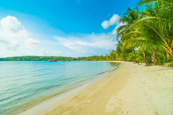Güzel tropikal plaj ve deniz paradise Island Seyahat ve tatil için Hindistan cevizi hurma ağacı