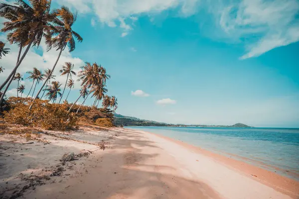 Güzel tropikal plaj ve Hindistan cevizi hurma ağacı Cennet Adası