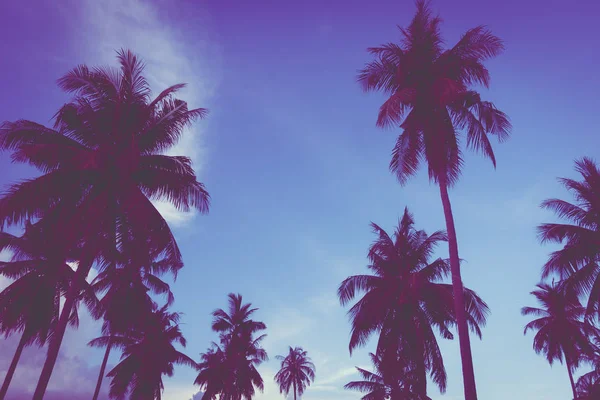 빈티지 필터에서 하늘에 자연과 실루엣 코코넛 야자수와 — 스톡 사진