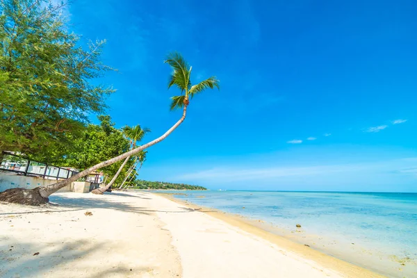 Güzel tropikal plaj deniz ve kum mavi gökyüzü ve beyaz bulut seyahat ve tatil için Hindistan cevizi hurma ağacı ile