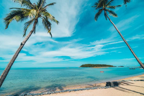 Belle Plage Tropicale Mer Sable Avec Cocotier Sur Ciel Bleu — Photo