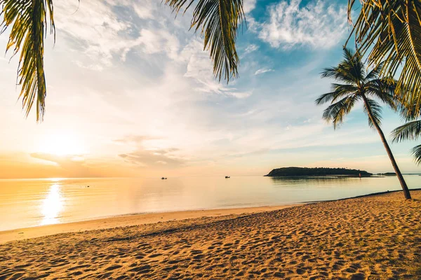 해변과 코코넛 야자수와 바다에 시간에 — 스톡 사진