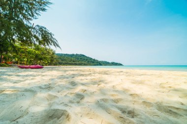 Güzel tropikal plaj ve deniz paradise Island Seyahat ve tatil için Hindistan cevizi hurma ağacı