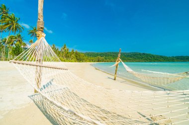 Hamak güzel doğa tropikal plaj ve deniz cocon ile