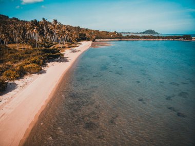 Güzel tropikal plaj ve deniz hurma ve koh samui Adası seyahat ve tatil için diğer ağacında havadan görünümü