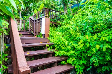 Seyahat ve tatil için bir ağaç ormandaki açık ahşap merdiven