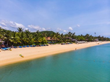 Seyahat ve tatil için adada güzel tropikal plaj ve deniz ağaçları ile havadan görünümü