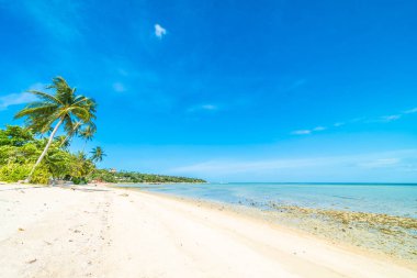 Güzel tropikal plaj deniz ve kum mavi gökyüzü ve beyaz bulut seyahat ve tatil için Hindistan cevizi hurma ağacı ile