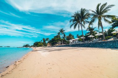 Güzel tropikal plaj deniz ve kum mavi gökyüzü ve beyaz bulut seyahat ve tatil için Hindistan cevizi hurma ağacı ile