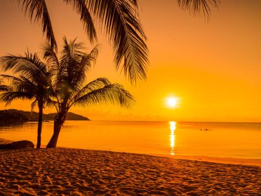 Güzel tropikal plaj deniz ve okyanus ile Hindistan cevizi hurma ağacı gündoğumu zaman seyahat ve tatil için