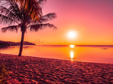 Güzel tropikal plaj deniz ve okyanus ile Hindistan cevizi hurma ağacı gündoğumu zaman seyahat ve tatil için