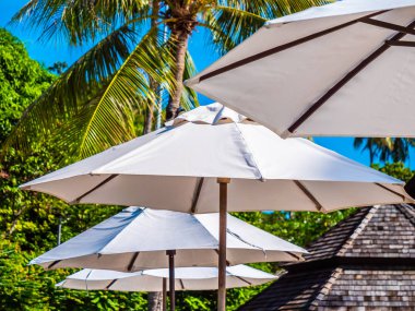 Hindistan cevizi hurma ağacı ile deniz okyanus seyahat ve tatil için mavi gökyüzü arka plan üzerinde Beyaz şemsiye