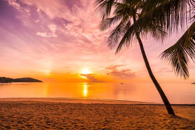 Günbatımı zaman tropik cennet ada plaj ve deniz ile Hindistan cevizi palmiye ağacı üzerinde tatil ve tatil için