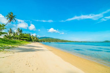 Güzel tropikal plaj ve Hindistan cevizi hurma ağacı Cennet Adası
