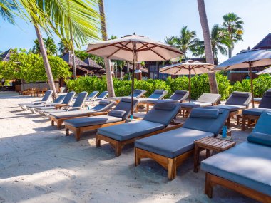 Şemsiye ve sandalyenin üstüne Hindistan cevizi hurma ağacının seyahat ve tatil etrafında mavi gökyüzü ile plaj ve okyanus