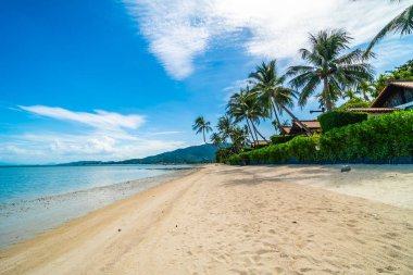 Güzel tropikal plaj deniz ve kum mavi gökyüzü ve beyaz bulut seyahat ve tatil için Hindistan cevizi hurma ağacı ile
