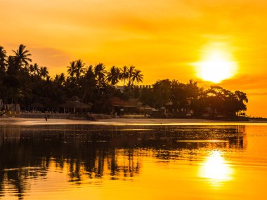 Güzel tropikal plaj deniz ve okyanus ile Hindistan cevizi hurma ağacı gündoğumu zaman seyahat ve tatil için