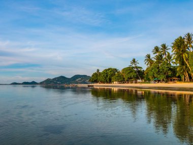 Güzel tropikal plaj ve deniz ile Hindistan cevizi hurma ağacının seyahat ve tatil