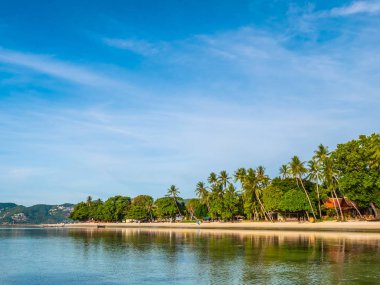 Güzel tropikal plaj ve deniz ile Hindistan cevizi hurma ağacının seyahat ve tatil